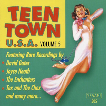V.A. - Teen Town U.S.A. : Vol 5
